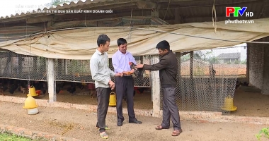 Nông dân Thanh Ba thi đua sản xuất, kinh doanh giỏi