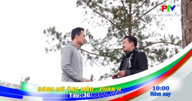 Giới thiệu phim ngày 03-08-2026