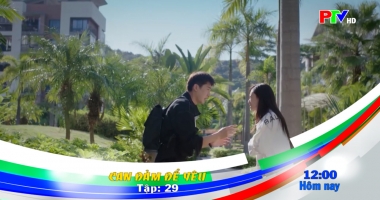 Giới thiệu phim ngày 11-12-2025