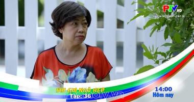 Giới thiệu phim ngày 25-06-2026