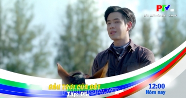 Giới thiệu phim ngày 25-10-2026