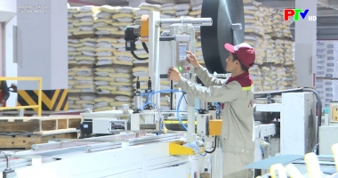 Giữ chân nhân lực