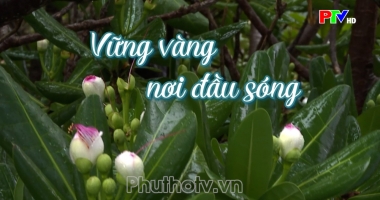 Giữ trọn lời thề - Tập 3: Vững vàng nơi đầu sóng