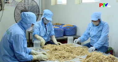 Giữ việc làm giữa biến động