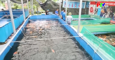 Góc sức trẻ thực hiện mục tiêu