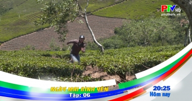 Giới thiệu phim ngày 28-2-2021