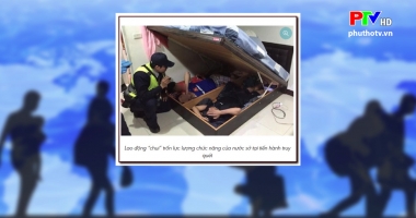 Hạn chế xuất khẩu lao động trái phép