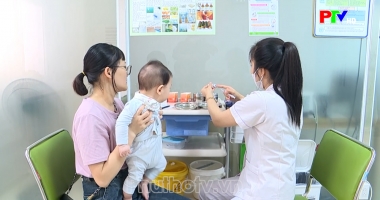 Hành trang sức khỏe Vắc xin Sởi - Quai bị - Rubella