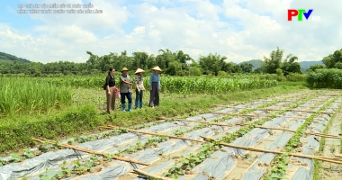Hành trình thoát nghèo trên các bản làng