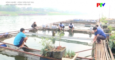 Hiệu quả từ nuôi trồng thủy sản