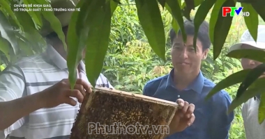 Hỗ trợ lãi suất - tăng trưởng kinh tế