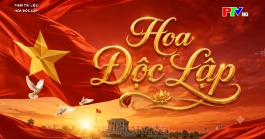 Phim tài liệu - Hoa độc lập