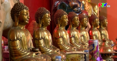 Hoa Long thiền tự