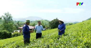 Hoàn thiện quy hoạch cấp xã - Mở không gian phát triển mới