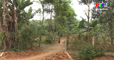 Hộp thư truyền hình ngày 26-4-2020