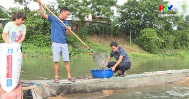 Học Bác mỗi ngày - Đam mê của kỹ sư nông nghiệp