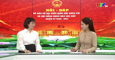 Hỏi đáp bầu cử Quốc hội và HĐND ngày 9-3-2026