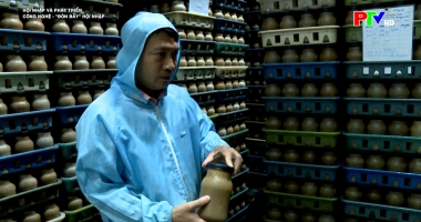 Hội nhập và phát triển - Công nghệ: Đòn bẩy hội nhập