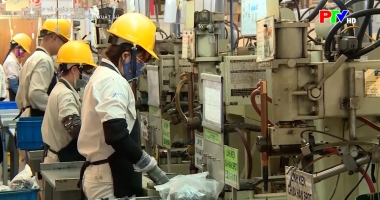 Hội nhập và phát triển - Thông thoáng chứng nhận xuất xứ