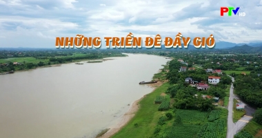 Hồn quê - Những triền đê đầy gió