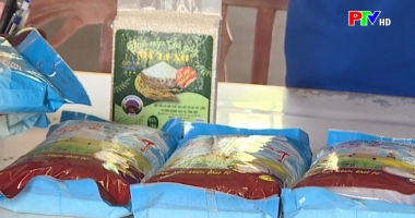 Hợp tác quốc tế để giảm nghèo bền vững