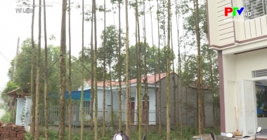 Hộp thư truyền hình ngày 20-6-2021