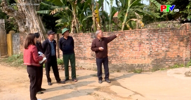 Hộp thư truyền hình ngày 1-2-2026