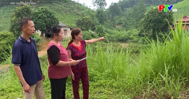 Hộp thư truyền hình ngày 12-10-2025