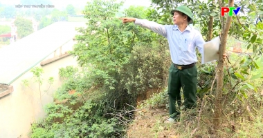 Hộp thư truyền hình ngày 12-4-2026