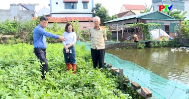 Hộp thư truyền hình ngày 14-06-2026