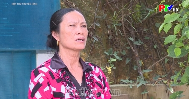 Hộp thư truyền hình ngày 16-6-2024