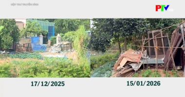 Hộp thư truyền hình ngày 18-1-2026