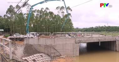 Hộp thư truyền hình ngày 18-6-2023