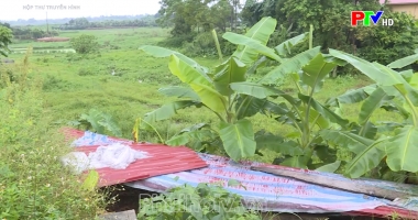 Hộp thư truyền hình ngày 18-8-2024