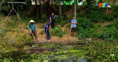 Hộp thư truyền hình ngày 24-11-2024