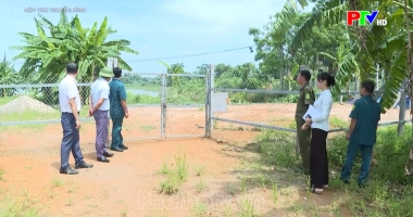 Hộp thư truyền hình ngày 24-8-2025