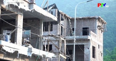 Hộp thư truyền hình ngày 25-10-2026