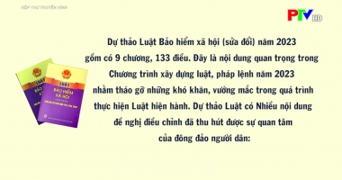 Hộp thư truyền hình ngày 26-3-2023