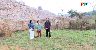 Hộp thư truyền hình ngày 28-12-2025