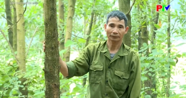 Hộp thư truyền hình ngày 30-11-2025