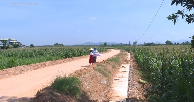 Hộp thư truyền hình ngày 30-7-2023