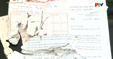 Hộp thư truyền hình ngày 5-10-2025