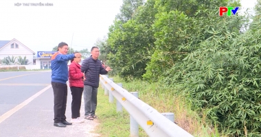 Hộp thư truyền hình ngày 7-12-2025