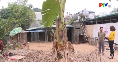 Hộp thư truyền hình ngày 12-1-2020