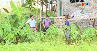 Hộp thư truyền hình ngày 16-8-2020