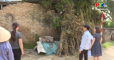 Hộp thư truyền hình ngày 31-5-2020