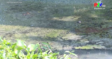 Hộp thư truyền hình ngày 6-12-2020