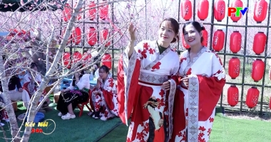 Kết nối 24 ngày 11-01-2026