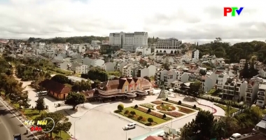 Kết nối 24 ngày 26-12-2025