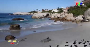 Kết nối 24 ngày 30-12-2025